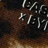 Leopard Silk Dial Women Casio Watch 30mm | ساعة كاسيو نسائية من الحريري ونقشة الفهد - مقاس 30 مم - Image 3